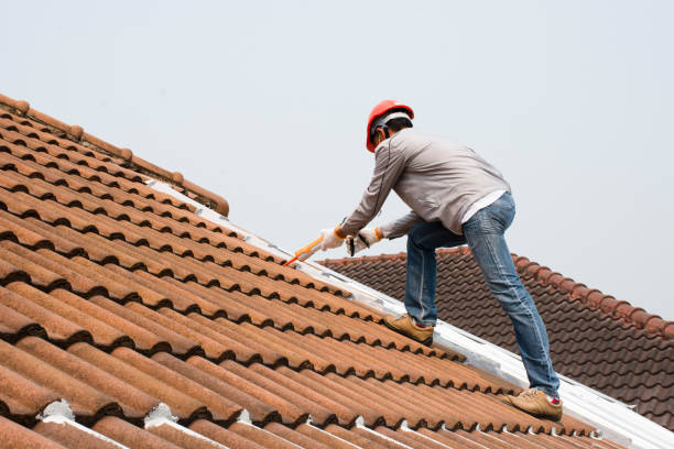 Best Storm Damage Roof Repair  in Cleburne, TX